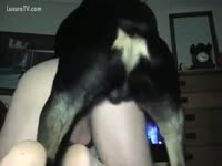 Bestiality Sex Video - A large obese motherfucker copiously by his dog